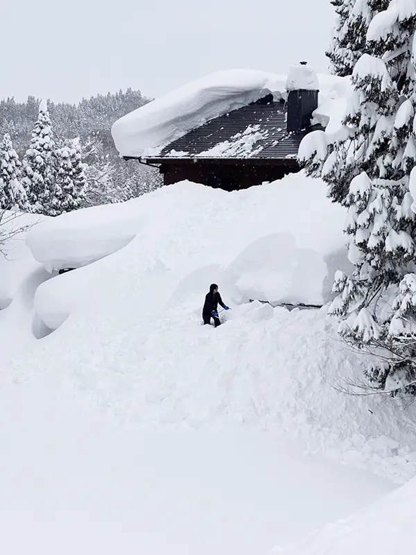 新潟県の雪の写真