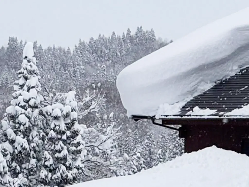 新潟県の雪の写真