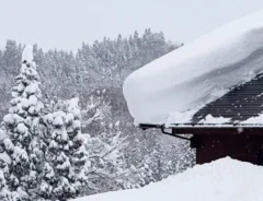 新潟県の雪の写真