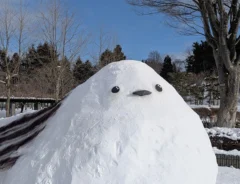 雪でできたシマエナガ滑り台の写真