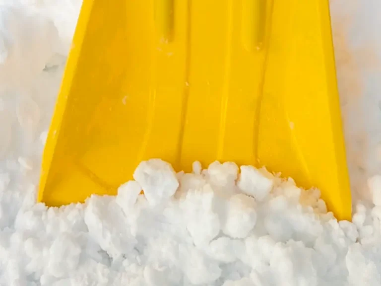 ホームセンターで買った雪かきショベルの写真