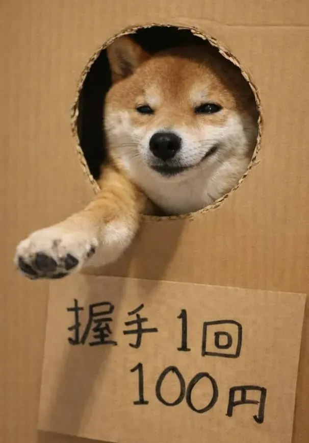 potat0619さんの投稿写真