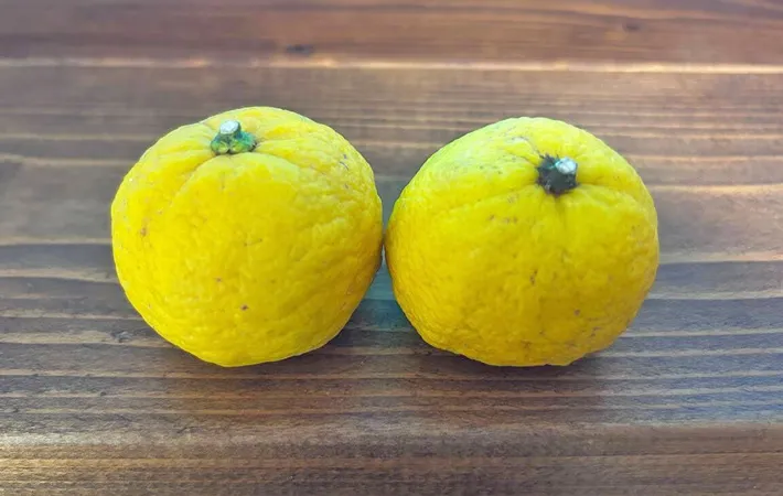 『ゆず2個』の写真（撮影：エニママ）