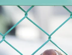 フェンスで休憩するスズメを見ると？　その姿に「本当にくつろいでる？」「たまらないフォルム」