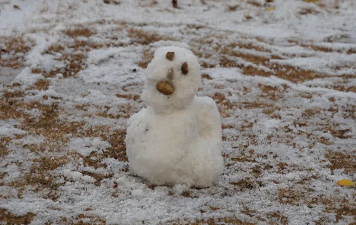 『雪だるま』の写真（撮影：エニママ）