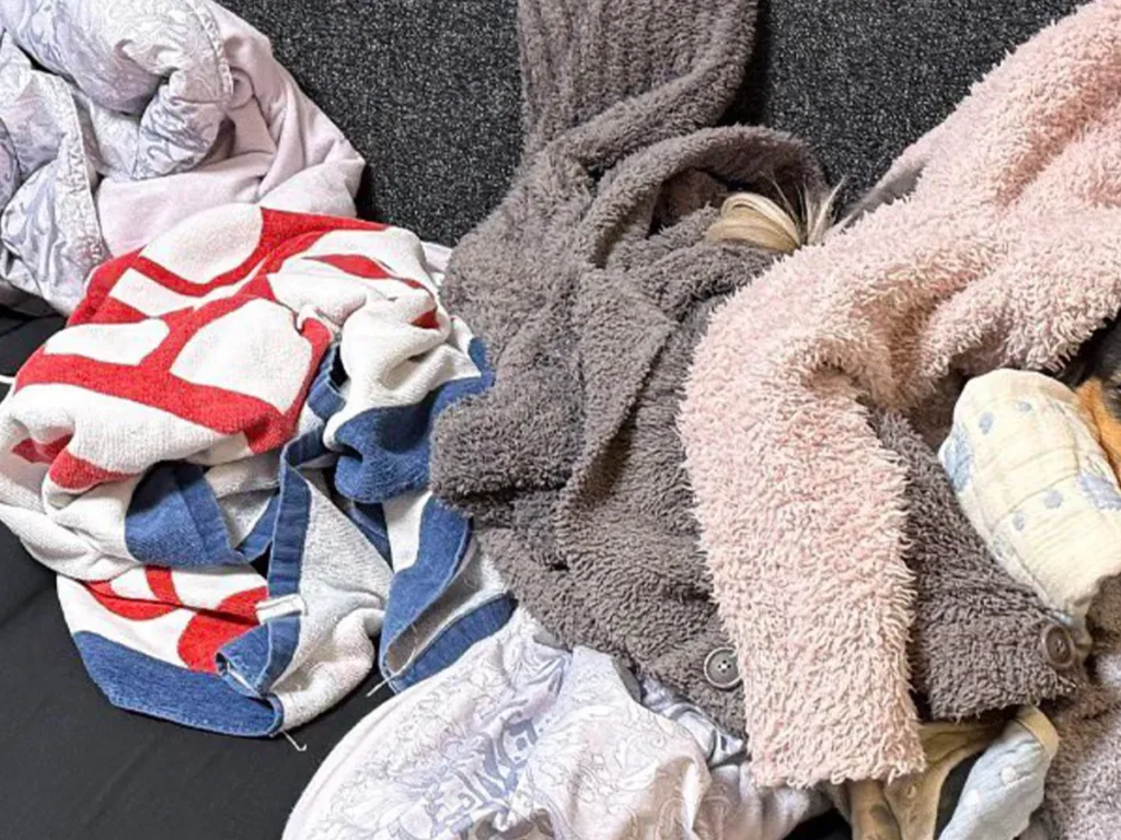 洗濯物にかこまれた犬の写真