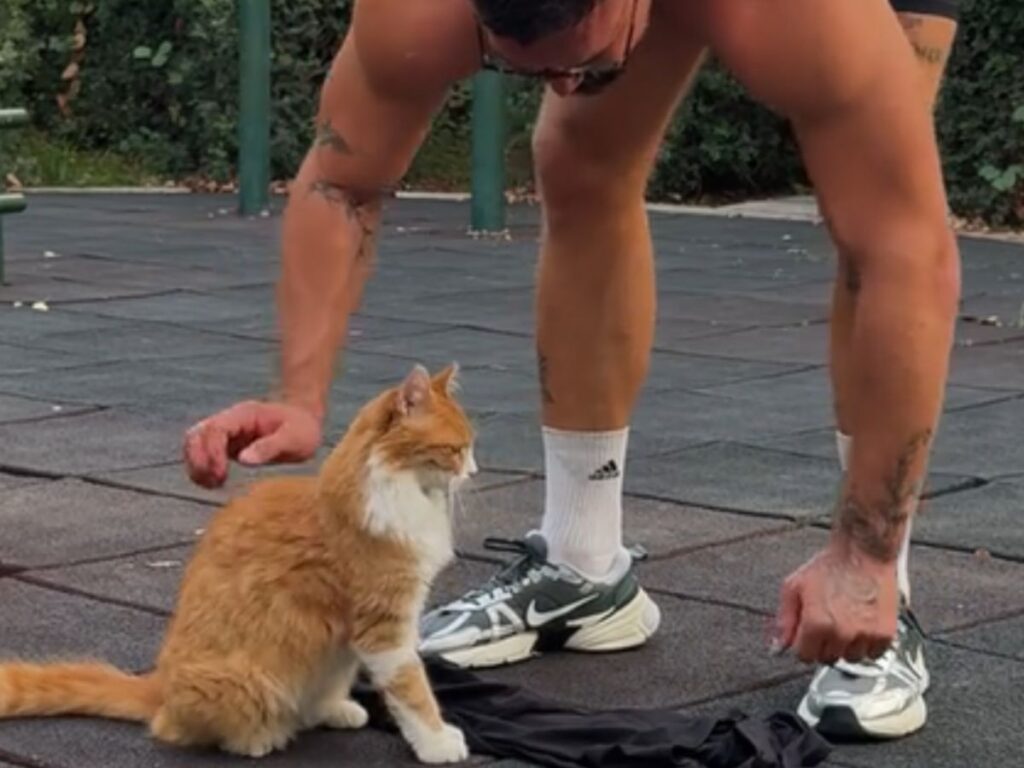 男性と猫の写真