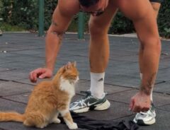 男性と猫の写真