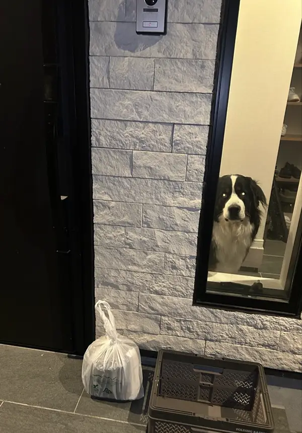 Uber Eats配達員の置き配写真