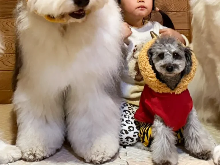 節分の記念写真を撮る子供と犬