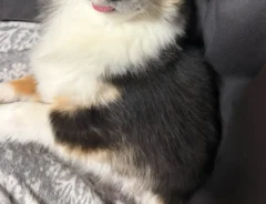 仕事で詰められた女性　元気が湧いた理由に「壁に貼りたい」「救いだ」