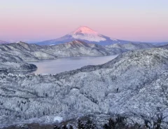 雪がふった翌日…　箱根の風景に「おとぎ話みたい」「なんて繊細な美しさ」