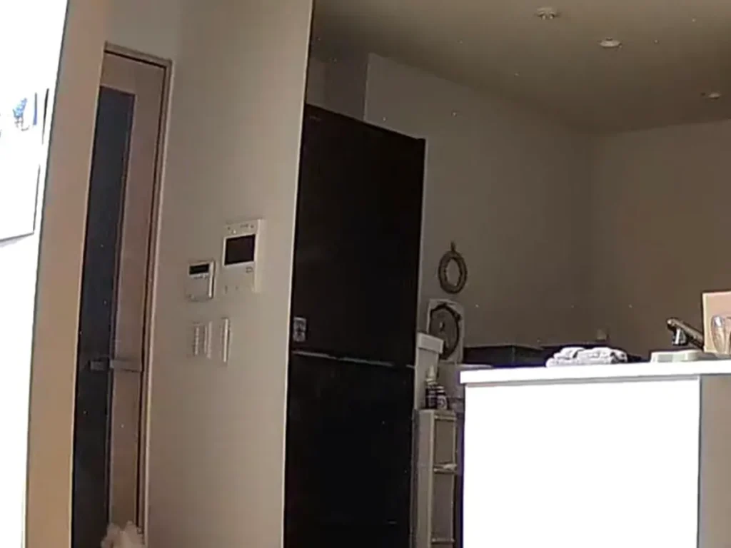 ペットカメラでの犬の写真