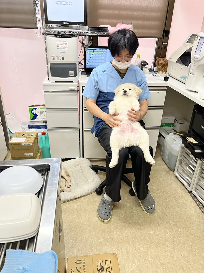 大師前どうぶつ病院の写真