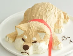 拒否柴のケーキ