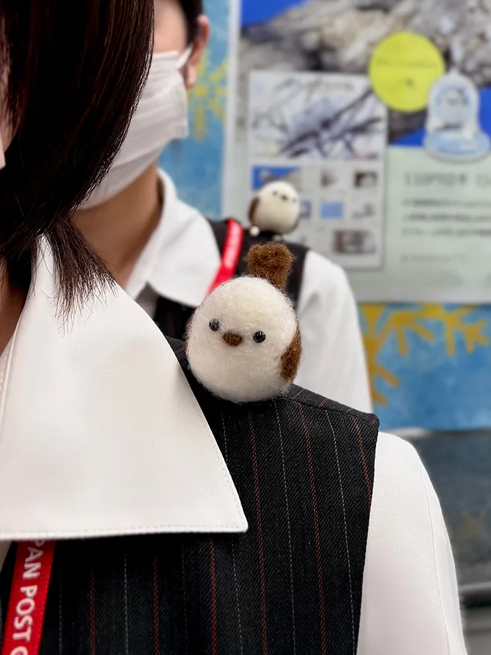 肩乗りのシマエナガの写真