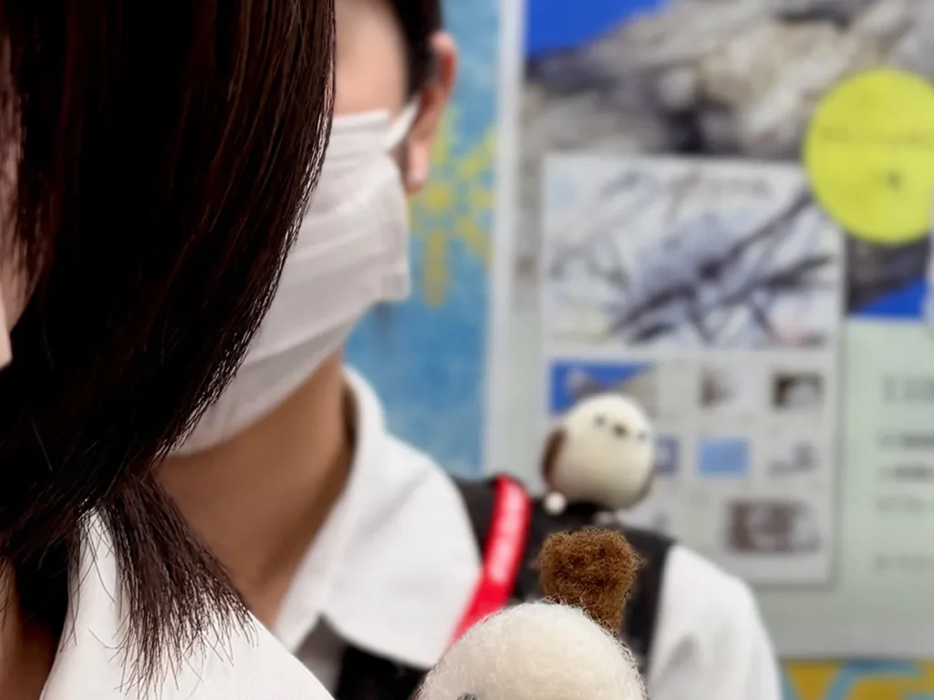 肩乗りのシマエナガの写真