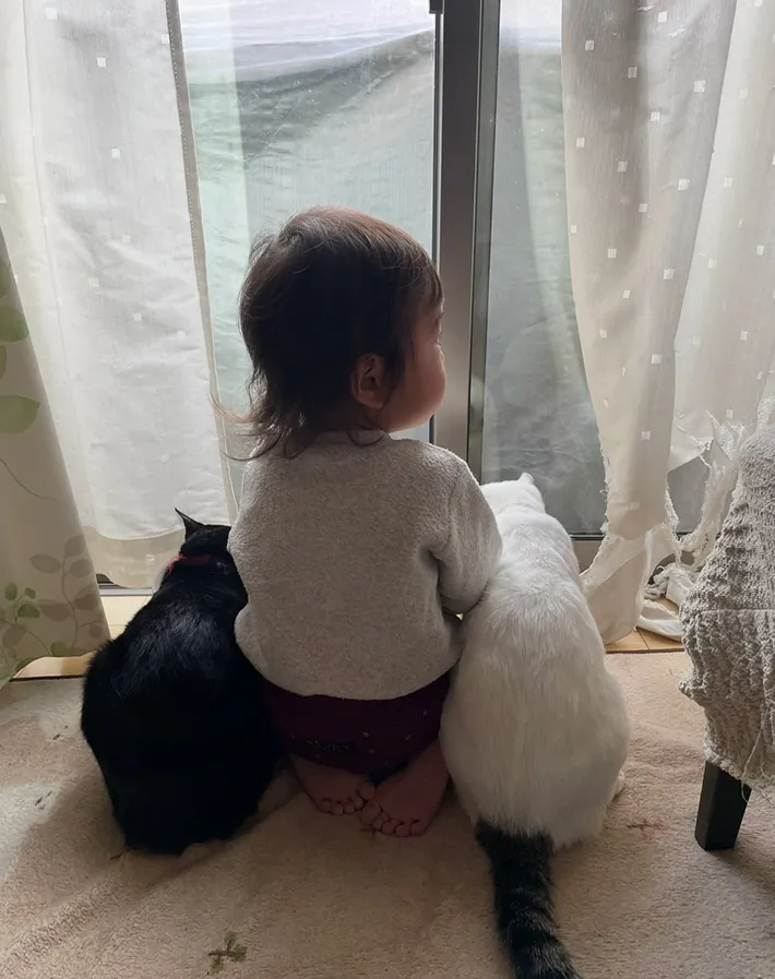 猫と1歳児の写真