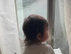 猫と1歳児の写真