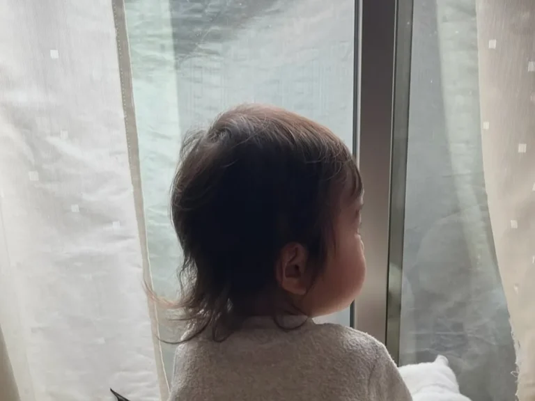 猫と1歳児の写真