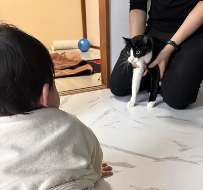 猫と赤ちゃんの写真