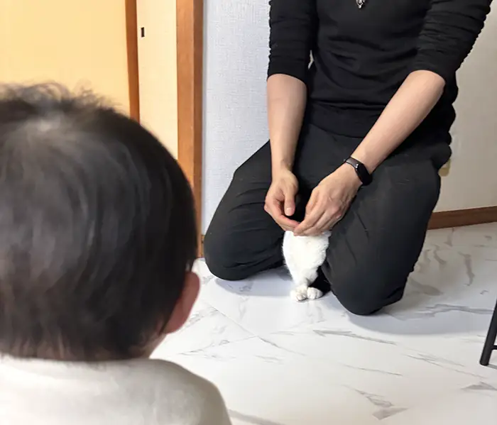 猫と赤ちゃんの写真