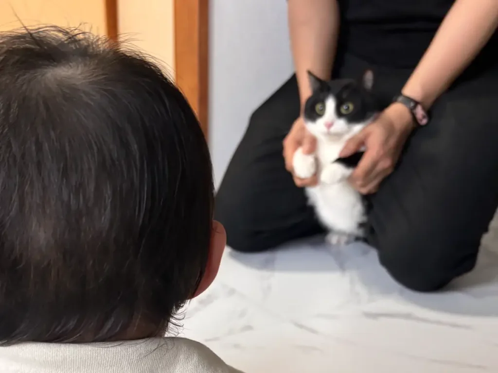 猫と赤ちゃんの写真