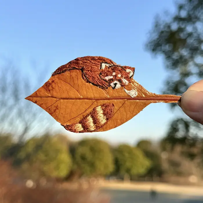 レッサーパンダが刺繍された葉っぱアートの写真