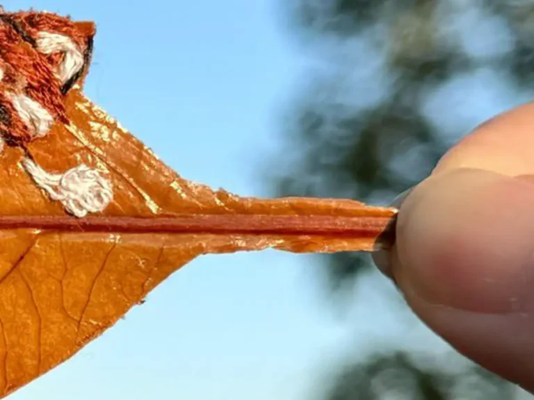 レッサーパンダが刺繍された葉っぱアートの写真