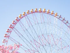 葛西臨海公園で撮影した桜の写真