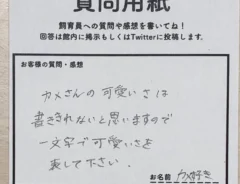 道の駅ウミガメ公園　質問用紙