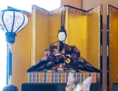 お雛様と猫の写真