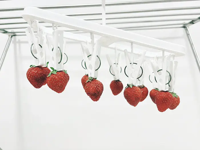 イチゴをつるした選択フックの写真
