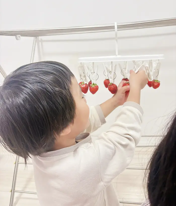 イチゴを取る子供の写真