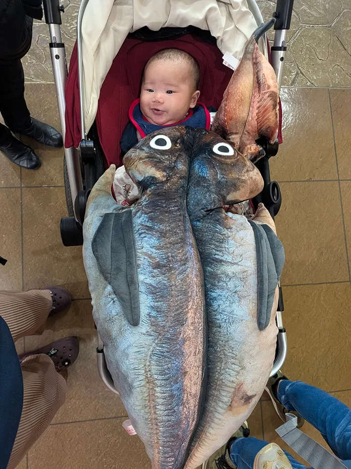 アジの開きのぬいぐるみ写真