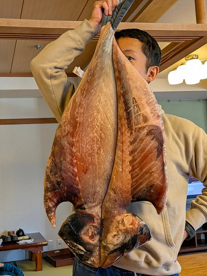 アジの開きのぬいぐるみ写真