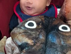 アジの開きのぬいぐるみ写真