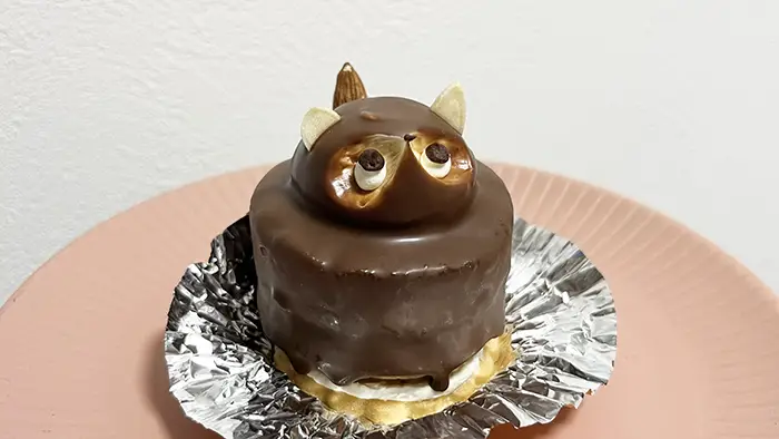 タヌキケーキの写真