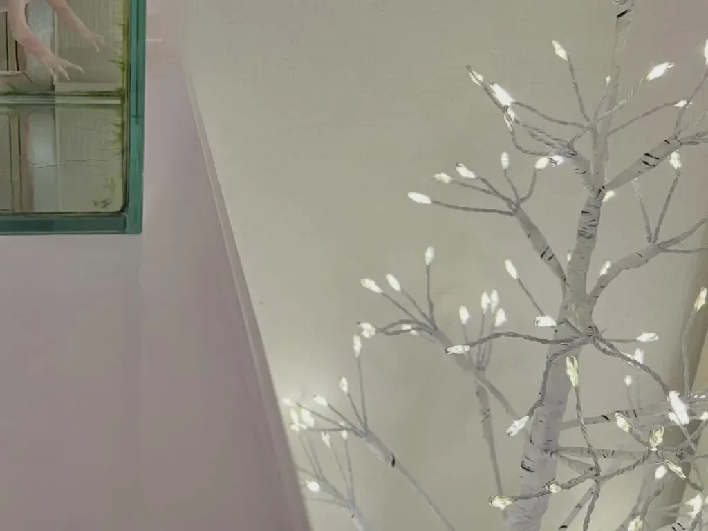 ウーパールーパー