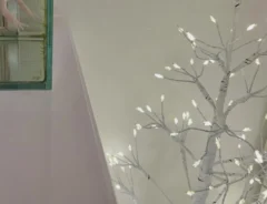 「消すと不機嫌になるんです」　クリスマスツリーのライトをじっと見つめていたのは？