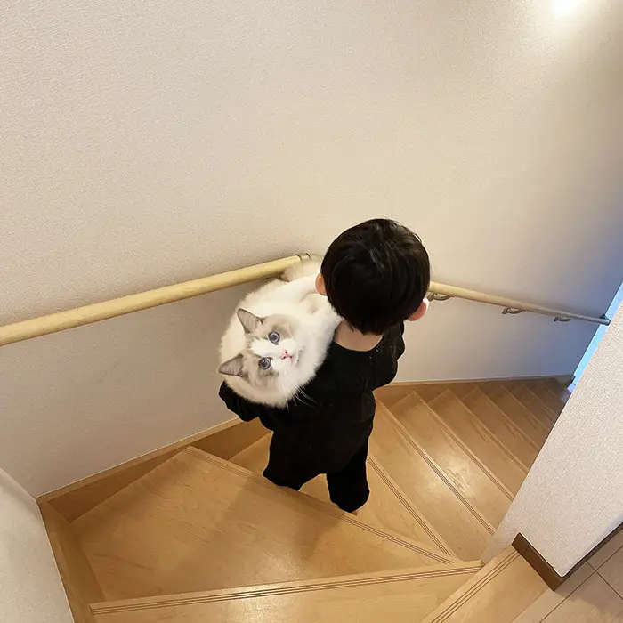 ラグドールを抱える子供の写真