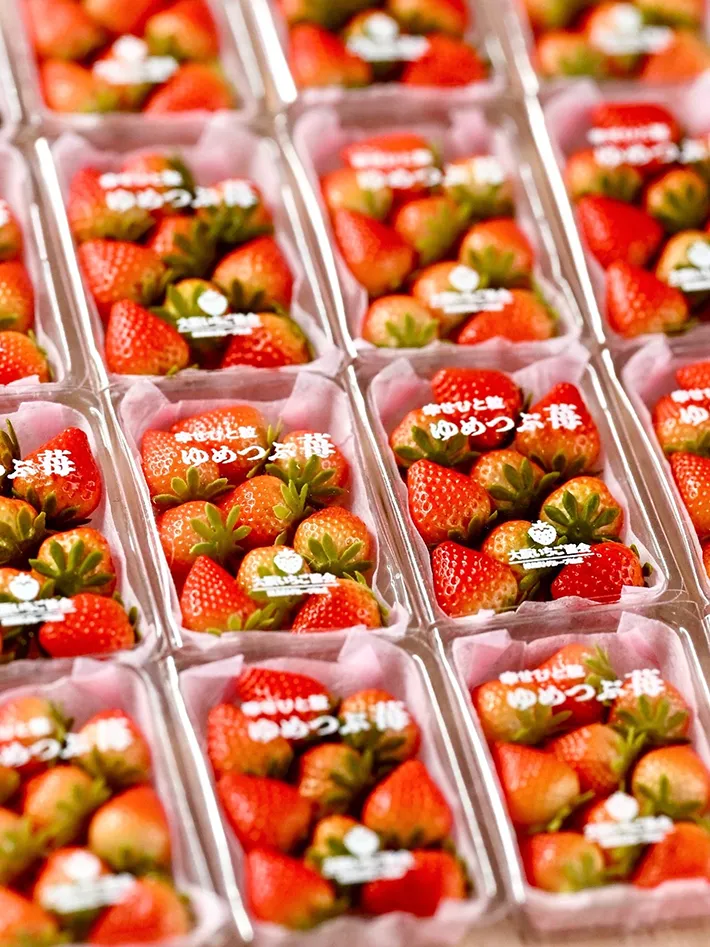 イチゴのミニチュア作品の写真