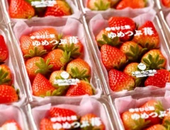 「脳がバグる」「本物にしか見えない」　みずみずしいイチゴの写真、実は？