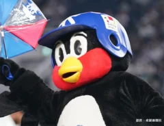 つば九郎の写真