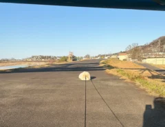 ポメラニアンの写真