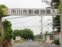 市川市動植物園の看板