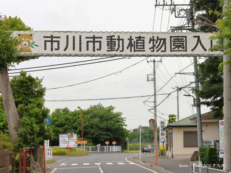 市川市動植物園の看板