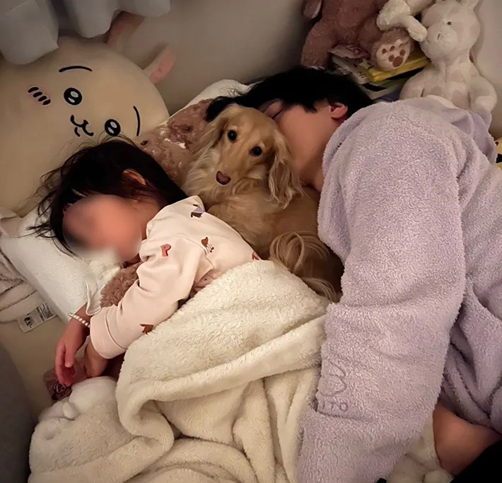 割り込みする犬の写真