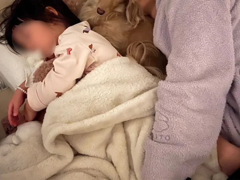 割り込みする犬の写真