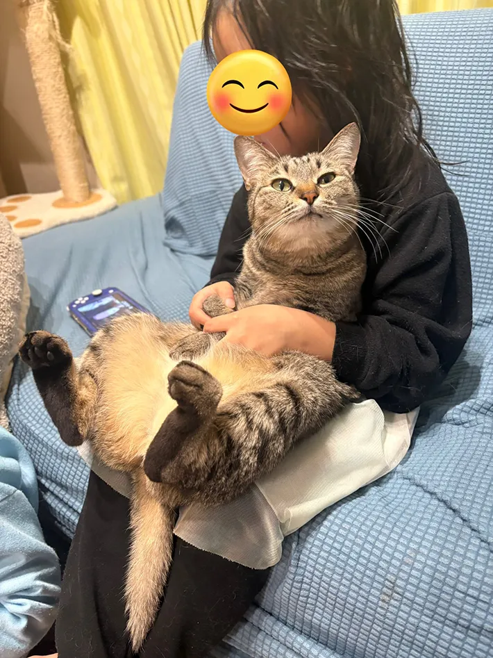 猫と娘の写真
